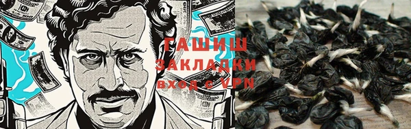 метадон Каменка